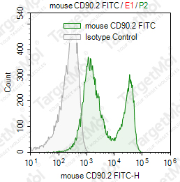 Anti-CD90.2 Antibody-FITC (30-H12)