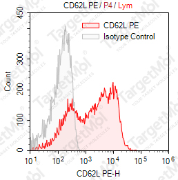 Anti-CD62L Antibody-PE (DREG56)