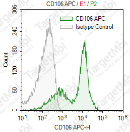 Anti-CD106 Antibody-APC (STA)