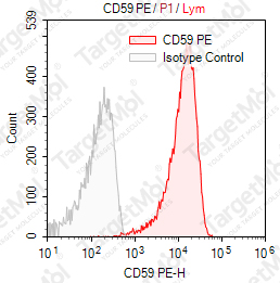 Anti-CD59 Antibody-PE (OV9A2)
