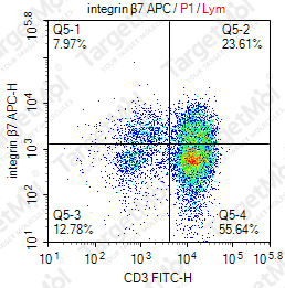 Anti-integrin β7 Antibody-APC (FIB504)