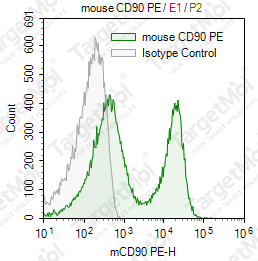 Anti-CD90 Antibody-PE (T24/31)