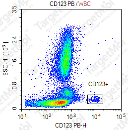 Anti-CD123 Antibody-Pacific Blue (6H6)