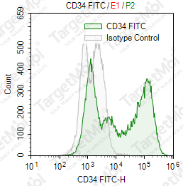 Anti-CD34 Antibody-FITC (4H11)