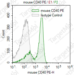 Anti-CD40 Antibody-PE (1C10)