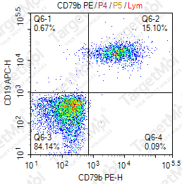 Anti-CD79b Antibody-PE (CB3-1)