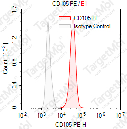 Anti-CD105 Antibody-PE (SN6)