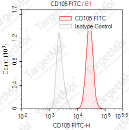 Anti-CD105 Antibody-FITC (SN6)