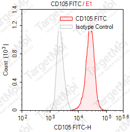 Anti-CD105 Antibody-FITC (43A3)