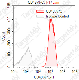 Anti-CD48 Antibody-APC (156-4H9)