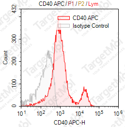 Anti-CD40 Antibody-APC (3A8)