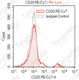 Anti-CD20 Antibody-PE-Cy7 (B-Ly1)