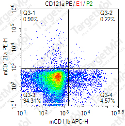 Anti-CD121a (IL-1R) Antibody-PE (JAMA-147)