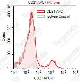 Anti-CD21 Antibody-APC (BU32)