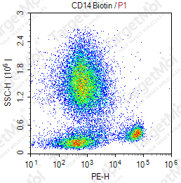 Anti-CD14 Antibody-Biotin (UCHM-1)