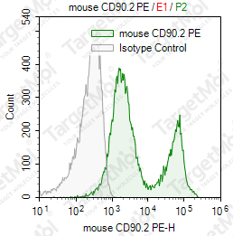 Anti-CD90.2 Antibody-PE (30-H12)
