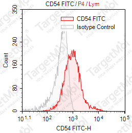 Anti-CD54 Antibody-FITC (RR11)