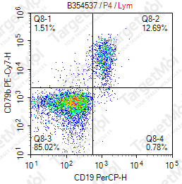 Anti-CD79b Antibody-PE-Cy7 (CB3-1)