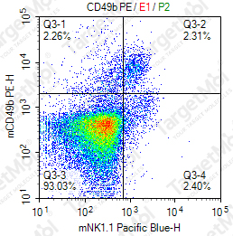 Anti-CD49b Antibody-PE (DX5)