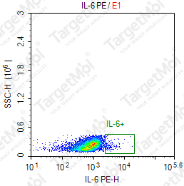 Anti-IL-6 Antibody-PE (MQ2-39C3)