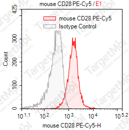 Anti-CD28 Antibody-PE-Cy5 (37.51)