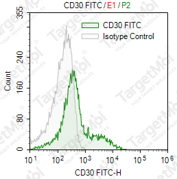 Anti-CD30 Antibody-FITC (BY88)