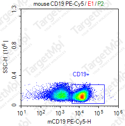 Anti-CD19 Antibody-PE-Cy5 (1D3)