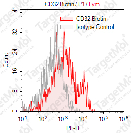 Anti-CD32 Antibody-Biotin (IV-3)