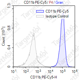 Anti-CD11b Antibody-PE-Cy5 (M1/70)