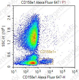 Anti-CD158e1 Antibody-AF647 (DX9)