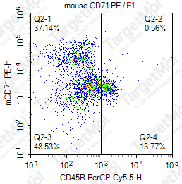 Anti-CD71 Antibody-PE (RI7217)