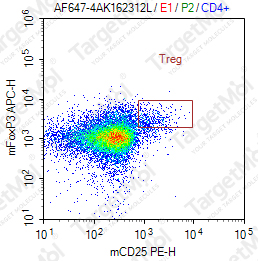 Anti-FOXP3 Antibody-APC (SB168a)