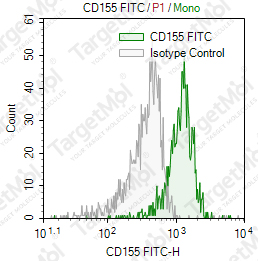 Anti-CD155 Antibody-FITC (FMU155-12)