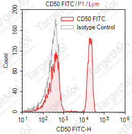 Anti-CD50 Antibody-FITC (186-2G9)