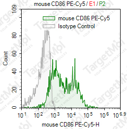 Anti-CD86 Antibody-PE-Cy5 (GL1)