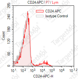 Anti-CD24 Antibody-APC (SN3)