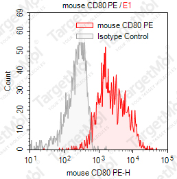 Anti-CD80 Antibody-PE (16-10A1)