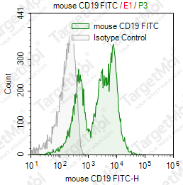 Anti-CD19 Antibody-FITC (1D3)