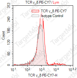 Anti-TCR γ/δ Antibody-PE-Cy7 (B1)