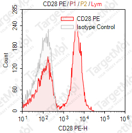 Anti-CD28 Antibody-PE (CD28.2)