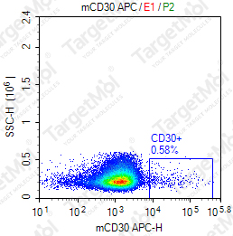 Anti-CD30 Antibody-APC (mCD30.1)