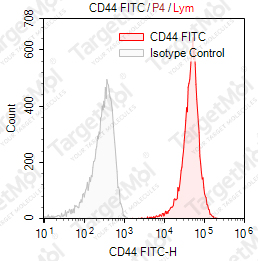 Anti-CD44 Antibody-FITC (P2A1)