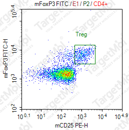 Anti-FOXP3 Antibody-FITC (MF-14)