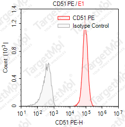 Anti-CD51 Antibody-PE (13C2)