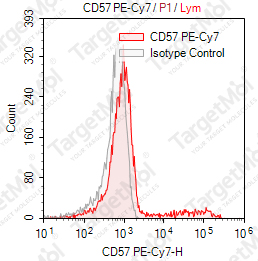 Anti-CD57 Antibody-PE-Cy7 (HNK-1)