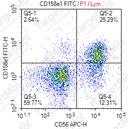 Anti-CD158e1 Antibody-FITC (FMUXA248-4)