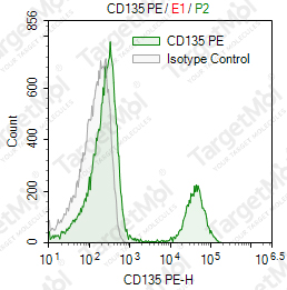 Anti-CD135 Antibody-PE (BV10-A4H2)