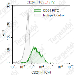 Anti-CD24 Antibody-FITC (30-F1)