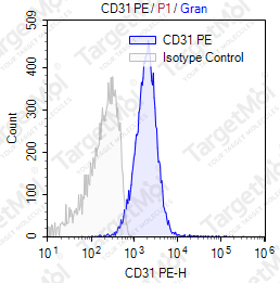 Anti-CD31 Antibody-PE (158-2B3)