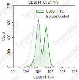 Anti-CD80 Antibody-FITC (MEM-233)